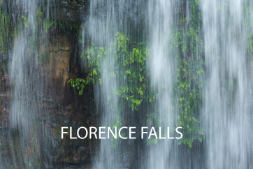 Florence-Falls
