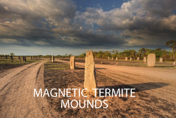 MAGNETIC-TERMITE-MOUNDS