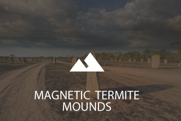 MAGNETIC-TERMITE-MOUNDS_hover