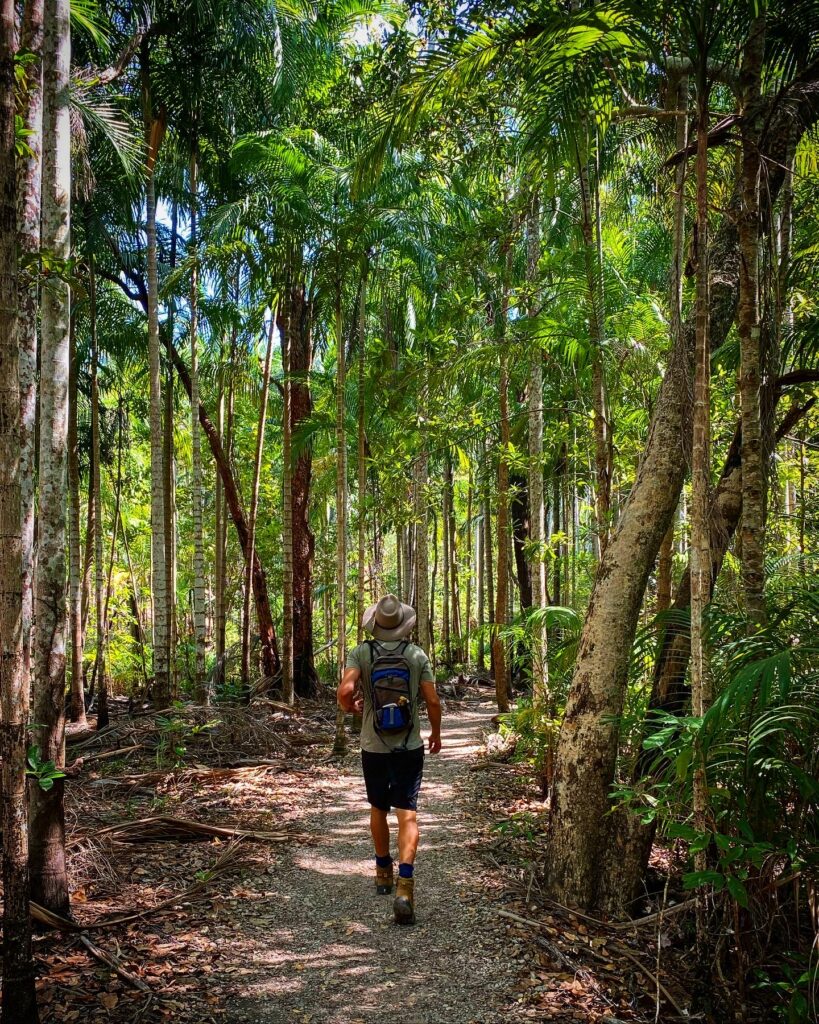 Man hiking through the jungle in Litchfield National Park