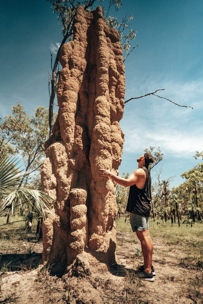 Man looking up, touching a magnetic termite mound in Litchfield National Park, Litchy