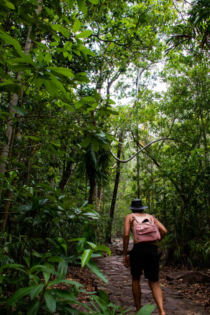 Woman with a backpack walking through the forest in Litchfield National Park