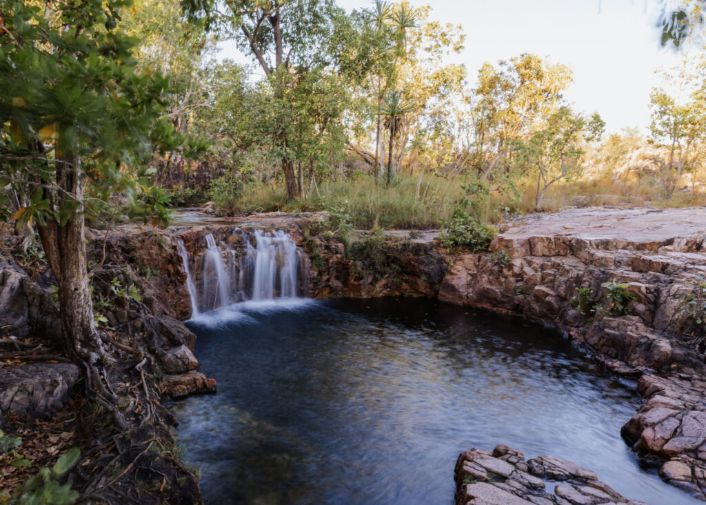 litchfield national park swimming hole