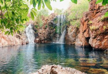 Autopia Tours: Litchfield National Park + Croc Cruise from Darwin