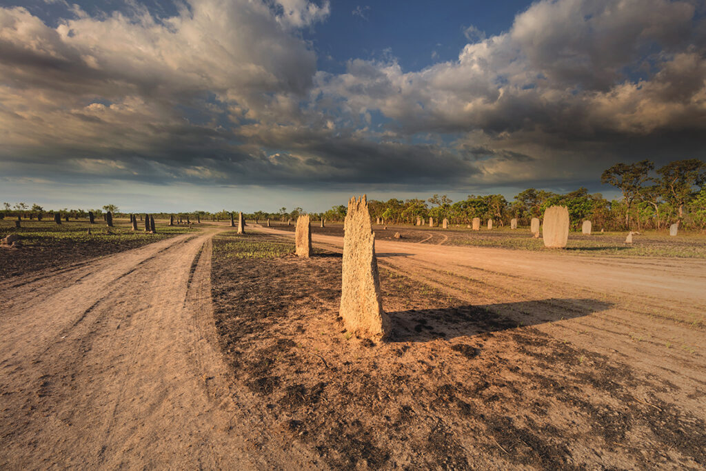 cloudy skies and termite mounds in Litchfield National Park