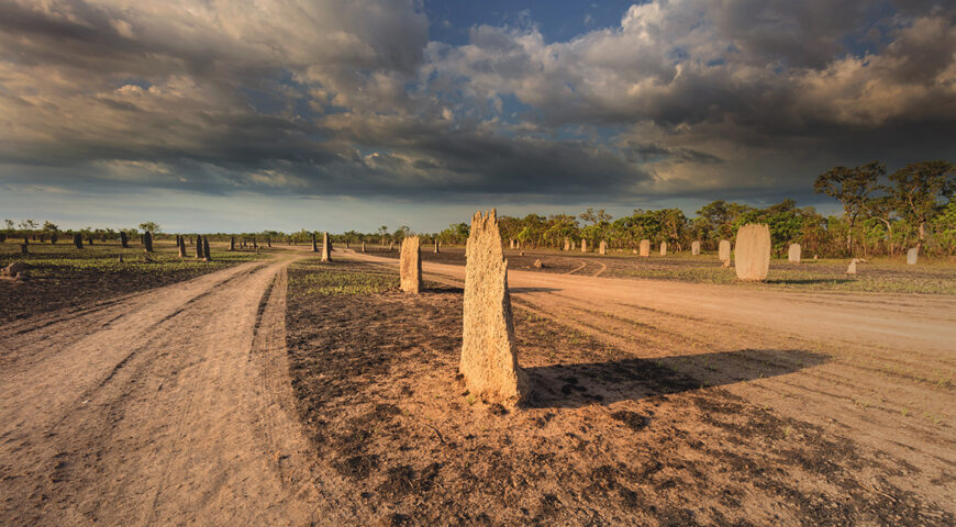 termite mounds in lightLR